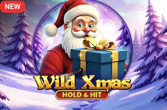 Wild Xmas